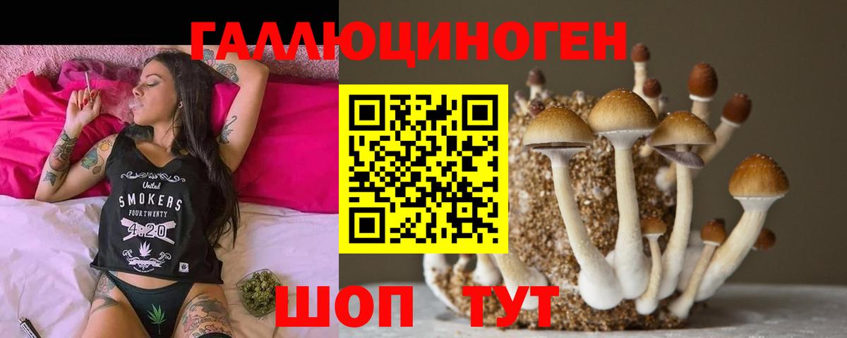 Галлюциногенные грибы Magic Shrooms  Галлюциногенные грибы Psilocybine cubensis  Вход с VPN  Богданович 